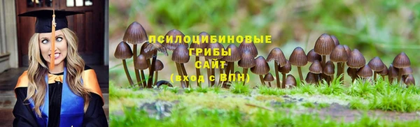 не бодяженный Каменка