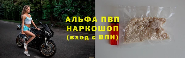 ECSTASY Инсар