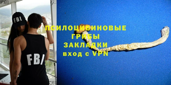 ECSTASY Инсар