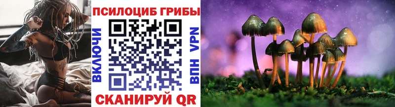 Купить закладки  Суджа  Псилоцибиновые грибы мицелий