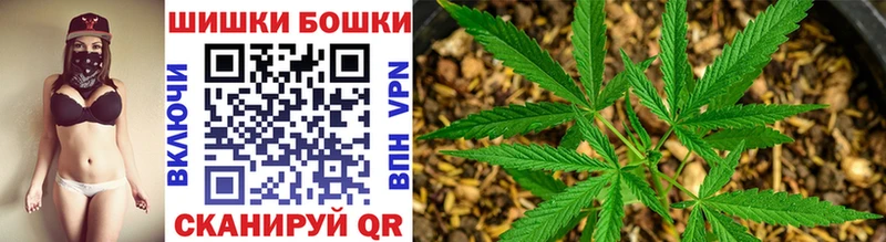 Бошки марихуана Amnesia  Купить где  Суджа 
